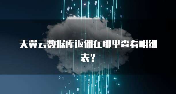 天翼云数据库返佣在哪里查看明细表?