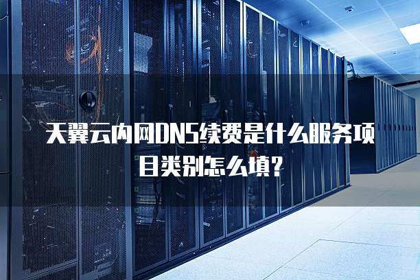 天翼云内网DNS续费是什么服务项目类别怎么填?