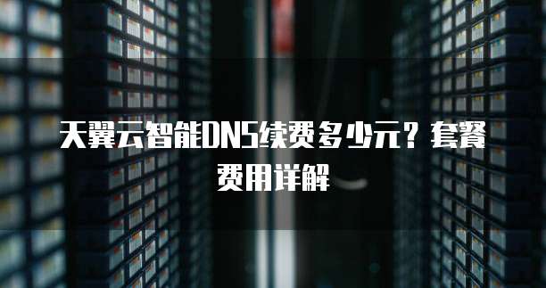 天翼云智能DNS续费多少元?套餐费用详解
