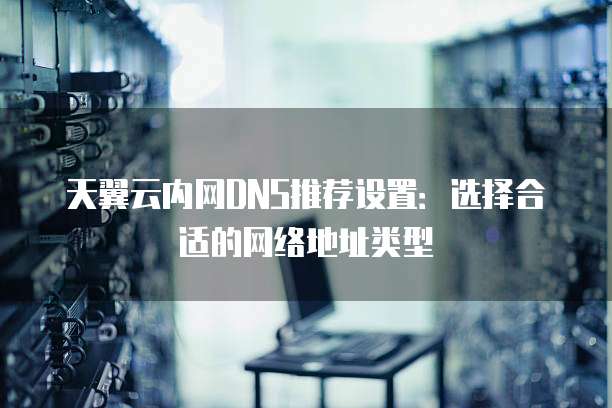 天翼云内网DNS推荐设置：选择合适的网络地址类型