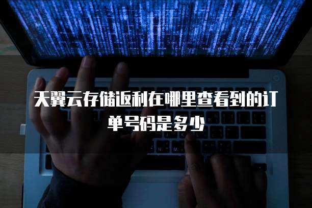 天翼云存储返利在哪里查看到的订单号码是多少