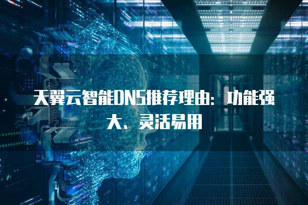 天翼云智能DNS推荐理由:功能强大、灵活易用