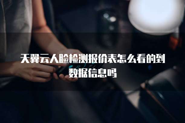 天翼云人脸检测报价表怎么看的到数据信息吗