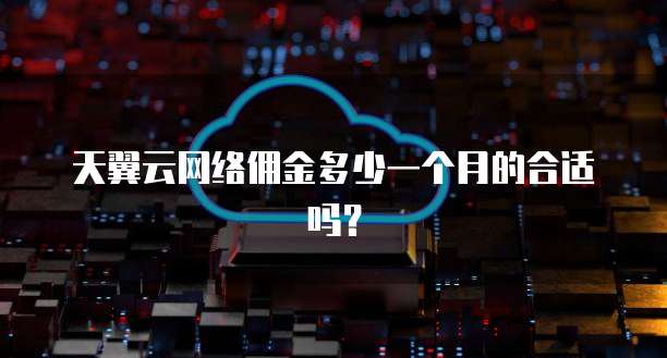 天翼云网络佣金多少一个月的合适吗？