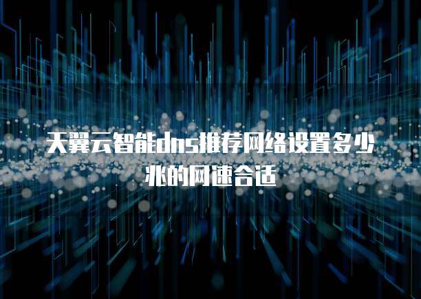 天翼云智能dns推荐网络设置多少兆的网速合适