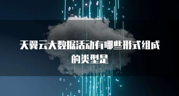天翼云大数据活动有哪些形式组成的类型是