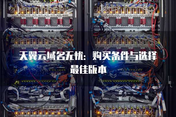 天翼云域名无忧：购买条件与选择最佳版本