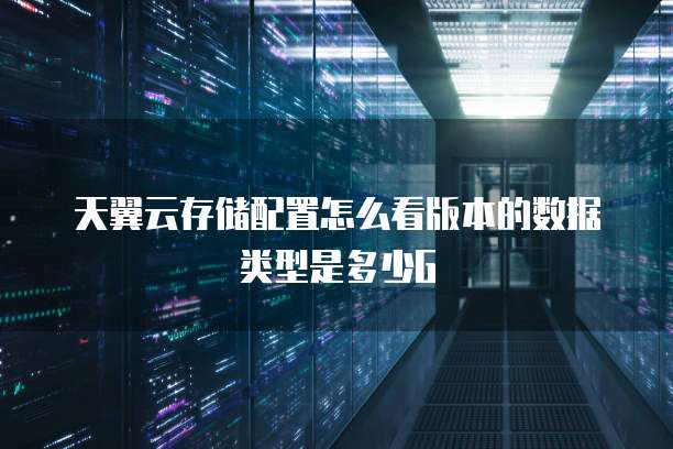 天翼云存储配置怎么看版本的数据类型是多少G