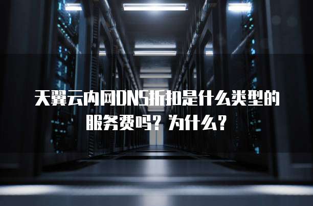 天翼云内网DNS折扣是什么类型的服务费吗?为什么?