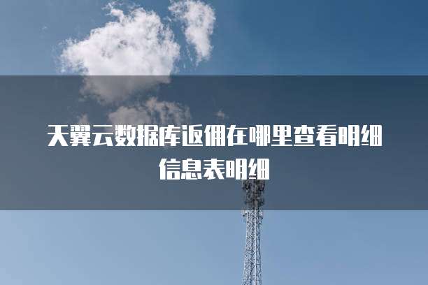 天翼云数据库返佣在哪里查看明细信息表明细