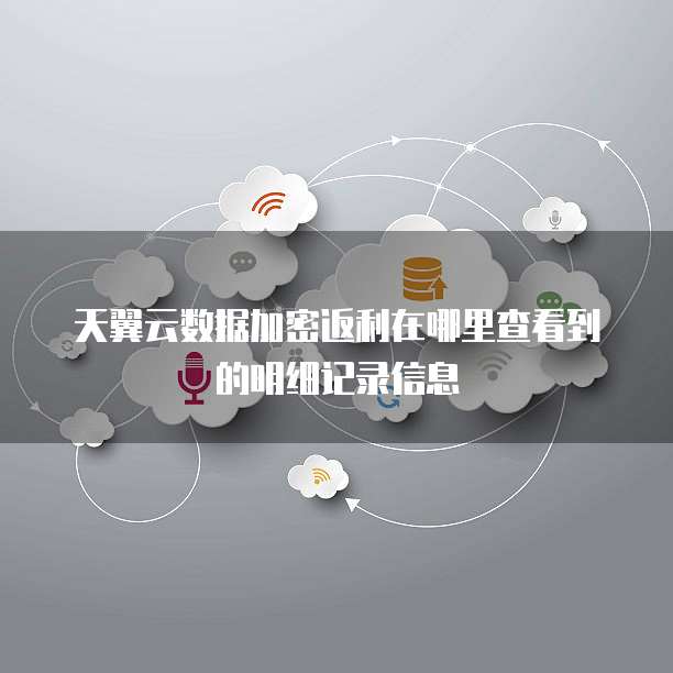 天翼云数据加密返利在哪里查看到的明细记录信息