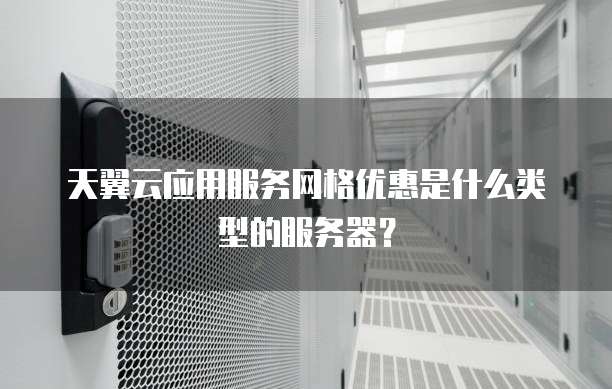 天翼云应用服务网格优惠是什么类型的服务器？