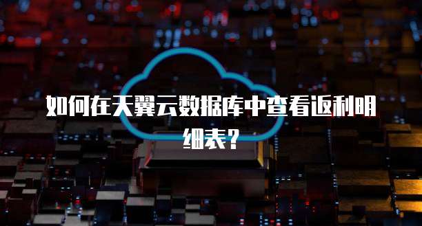 如何在天翼云数据库中查看返利明细表?