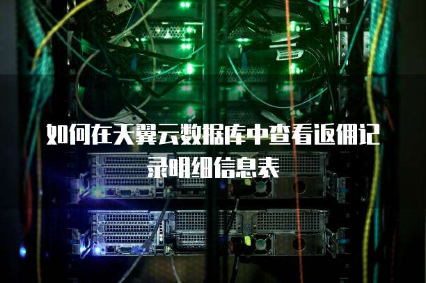 如何在天翼云数据库中查看返佣记录明细信息表