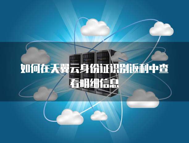 如何在天翼云身份证识别返利中查看明细信息