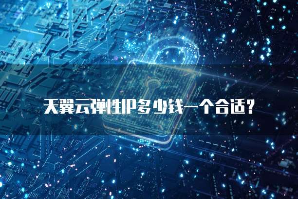 天翼云弹性IP多少钱一个合适?