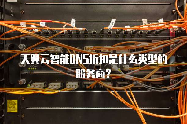 天翼云智能DNS折扣是什么类型的服务商?