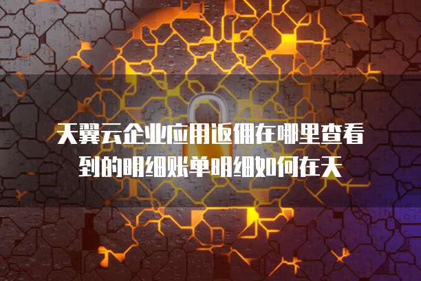 天翼云企业应用返佣在哪里查看到的明细账单明细如何在天