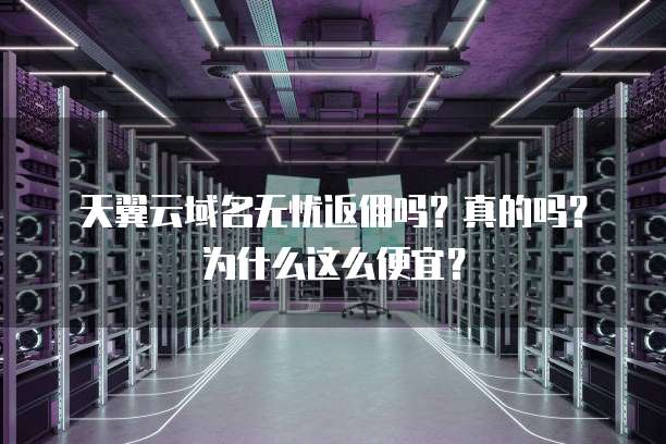 天翼云域名无忧返佣吗?真的吗?为什么这么便宜?