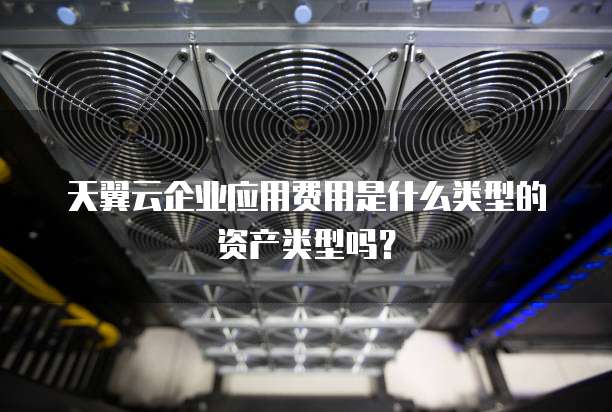 天翼云企业应用费用是什么类型的资产类型吗?
