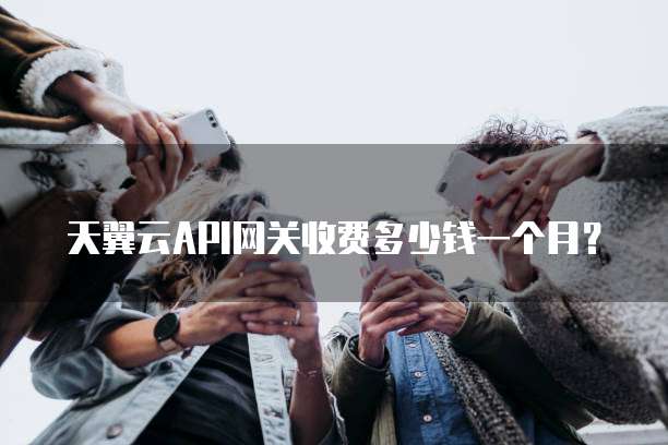 天翼云API网关收费多少钱一个月？