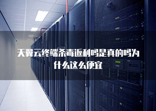 天翼云终端杀毒返利吗是真的吗为什么这么便宜