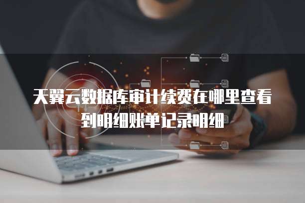 天翼云数据库审计续费在哪里查看到明细账单记录明细