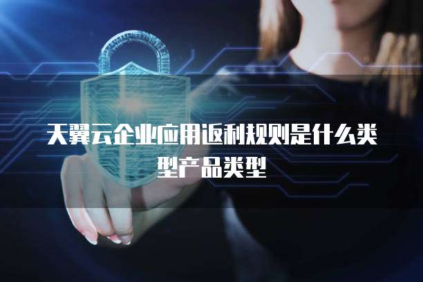 天翼云企业应用返利规则是什么类型产品类型