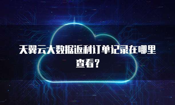 天翼云大数据返利订单记录在哪里查看？