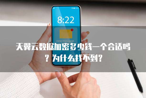 天翼云数据加密多少钱一个合适吗?为什么找不到?