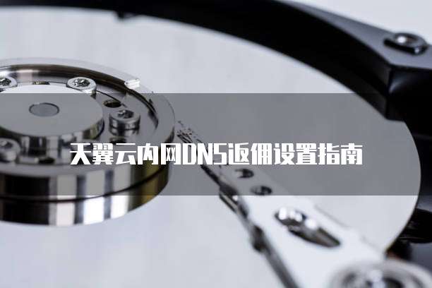 天翼云内网DNS返佣设置指南