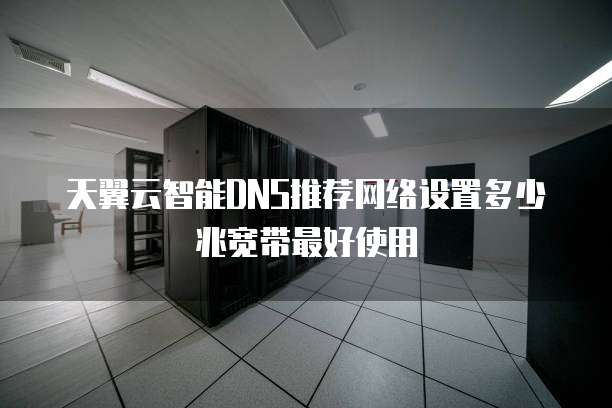 天翼云智能DNS推荐网络设置多少兆宽带最好使用