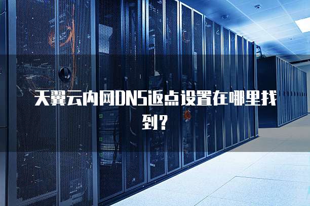 天翼云内网DNS返点设置在哪里找到?