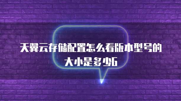 天翼云存储配置怎么看版本型号的大小是多少G
