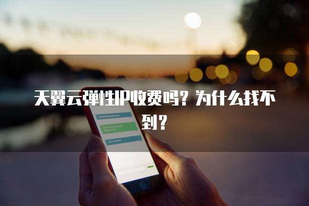 天翼云弹性IP收费吗?为什么找不到?