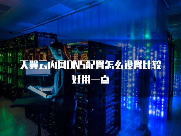 天翼云内网DNS配置怎么设置比较好用一点