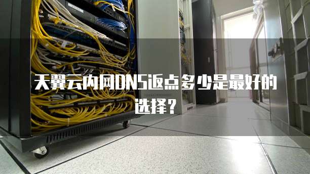 天翼云内网DNS返点多少是最好的选择？