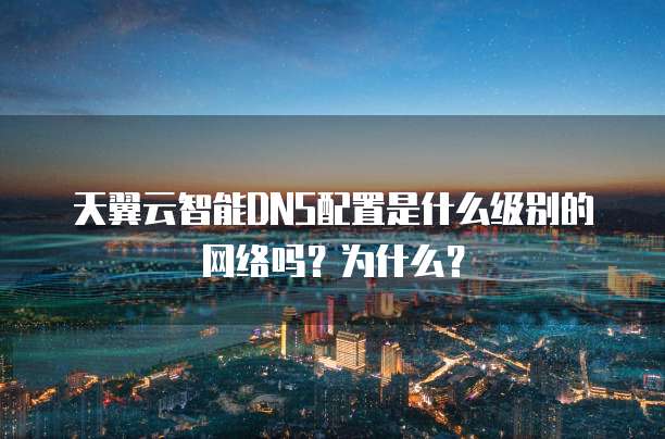 天翼云智能DNS配置是什么级别的网络吗？为什么？