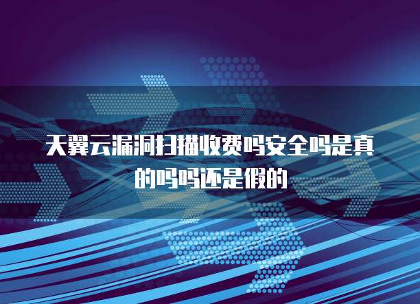 天翼云漏洞扫描收费吗安全吗是真的吗吗还是假的