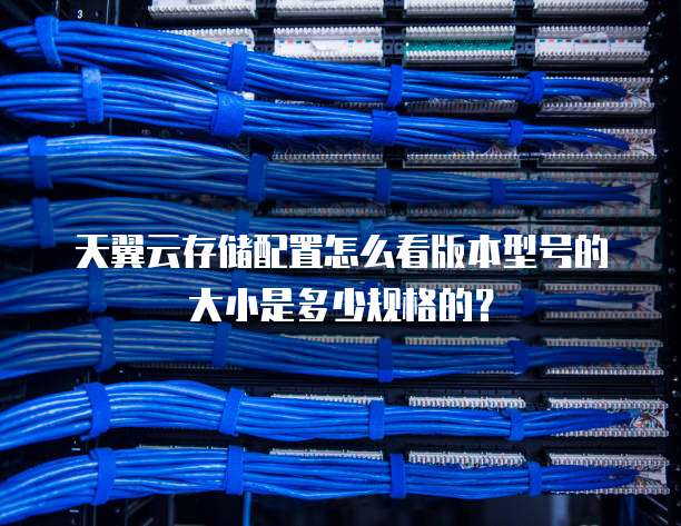 天翼云存储配置怎么看版本型号的大小是多少规格的?
