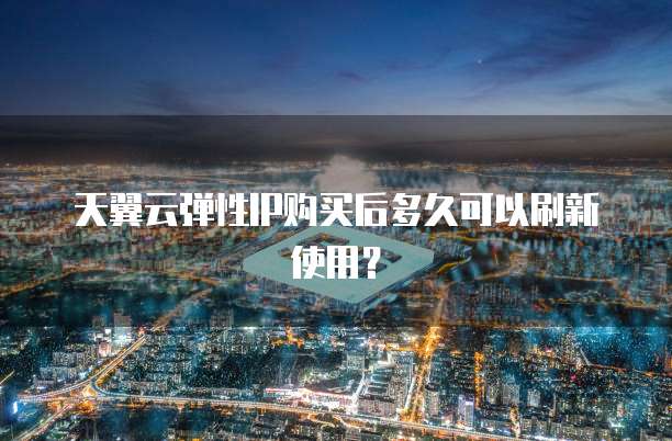 天翼云弹性IP购买后多久可以刷新使用?
