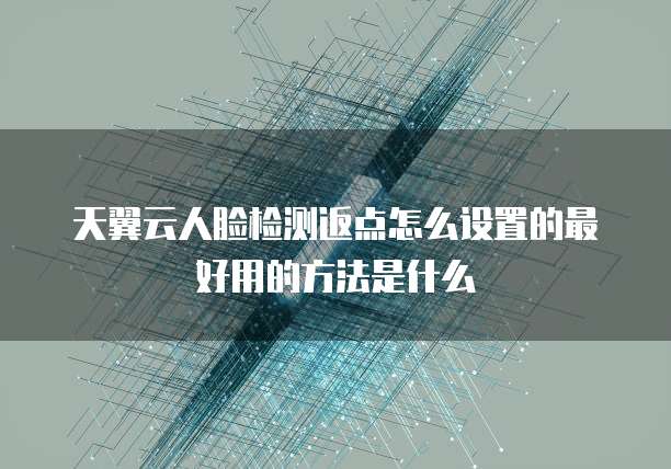 天翼云人脸检测返点怎么设置的最好用的方法是什么