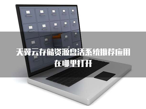 天翼云存储资源盘活系统推荐应用在哪里打开