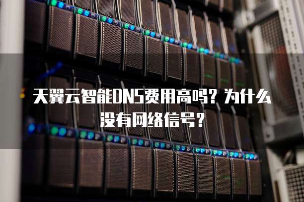 天翼云智能DNS费用高吗？为什么没有网络信号？