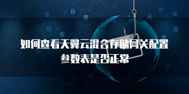 如何查看天翼云混合存储网关配置参数表是否正常