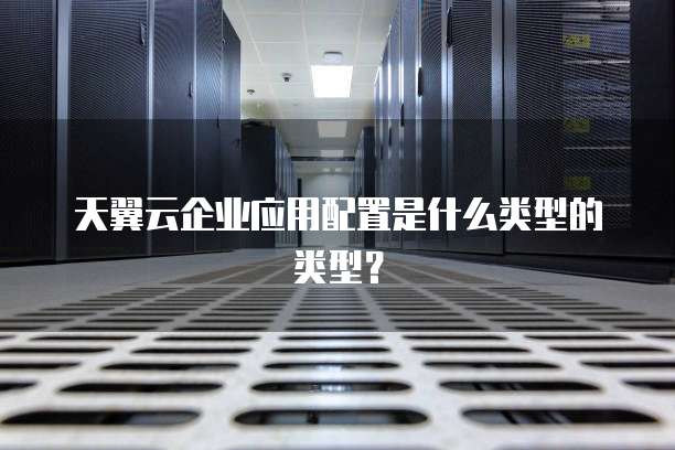 天翼云企业应用配置是什么类型的类型?