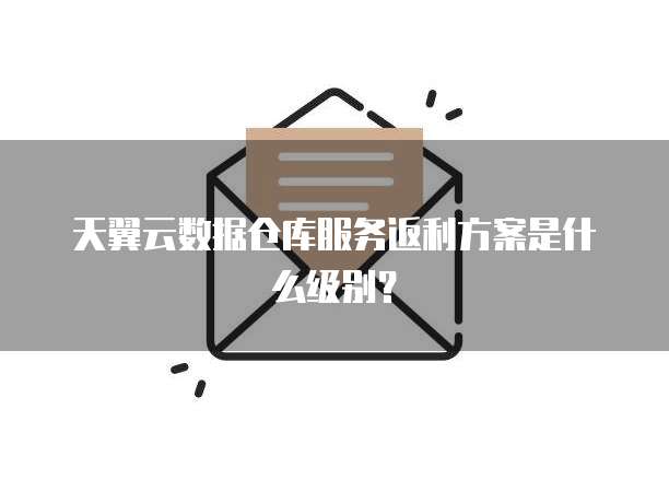 天翼云数据仓库服务返利方案是什么级别?