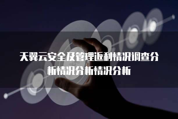 天翼云安全及管理返利情况调查分析情况分析情况分析