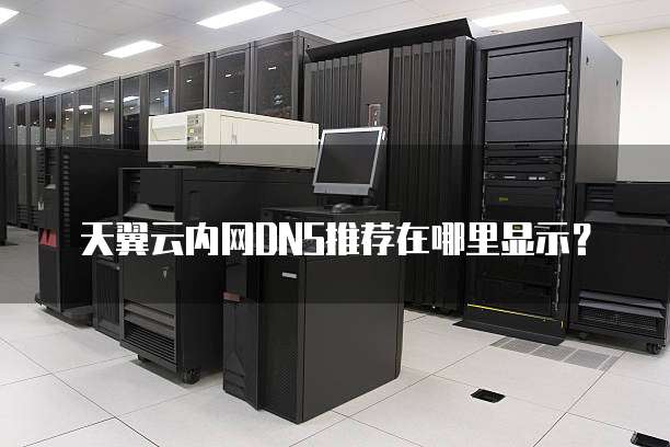 天翼云内网DNS推荐在哪里显示?