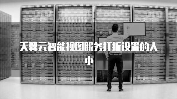 天翼云智能视图服务打折设置的大小